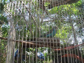 Yucatan Mayan Retreat Ecohotel And Camping Chichen Itza Exterior photo